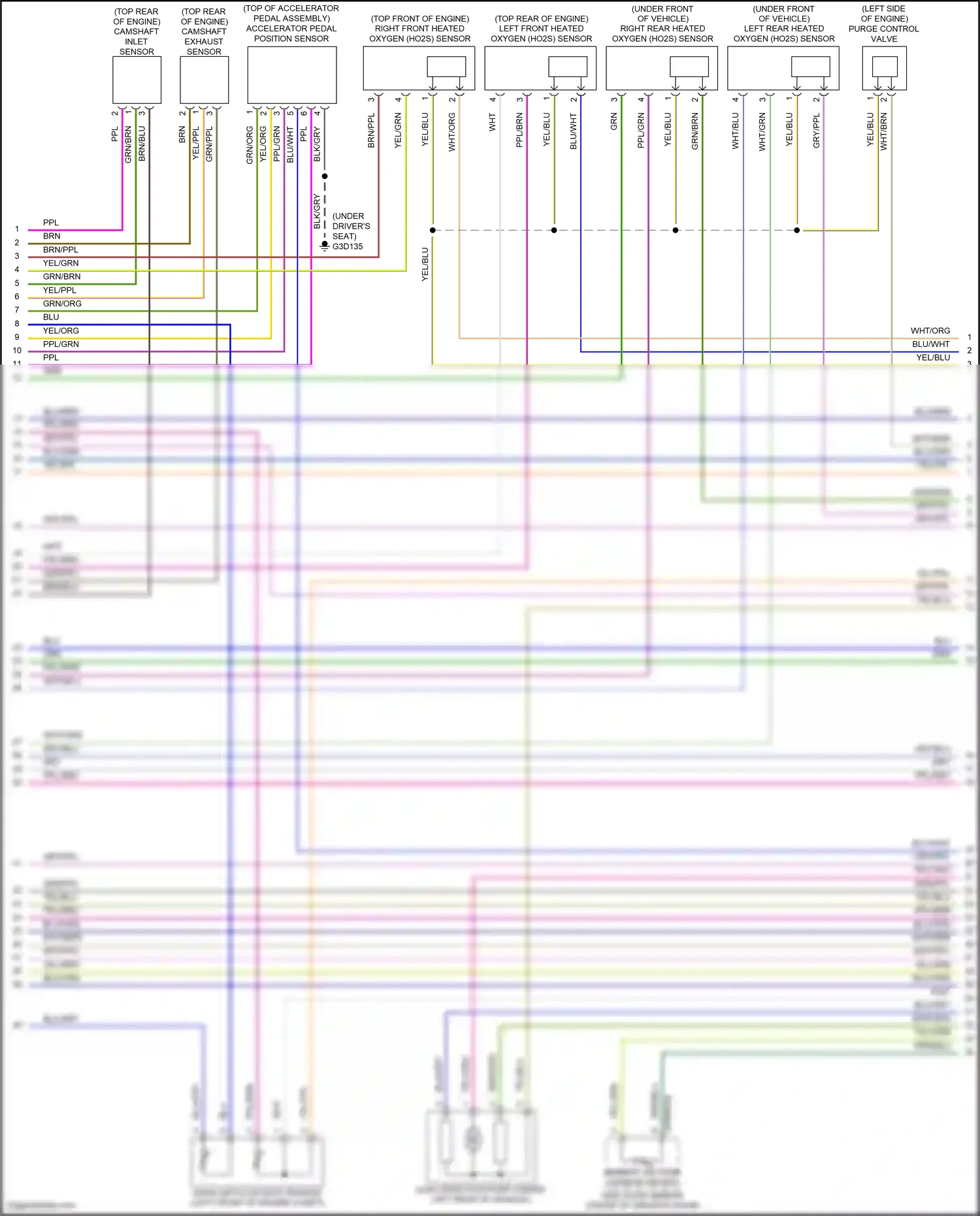 Wiring diagram accelerator pedal position sensor for Land Rover Freelander L359 (2006-2010) (4 of 4)