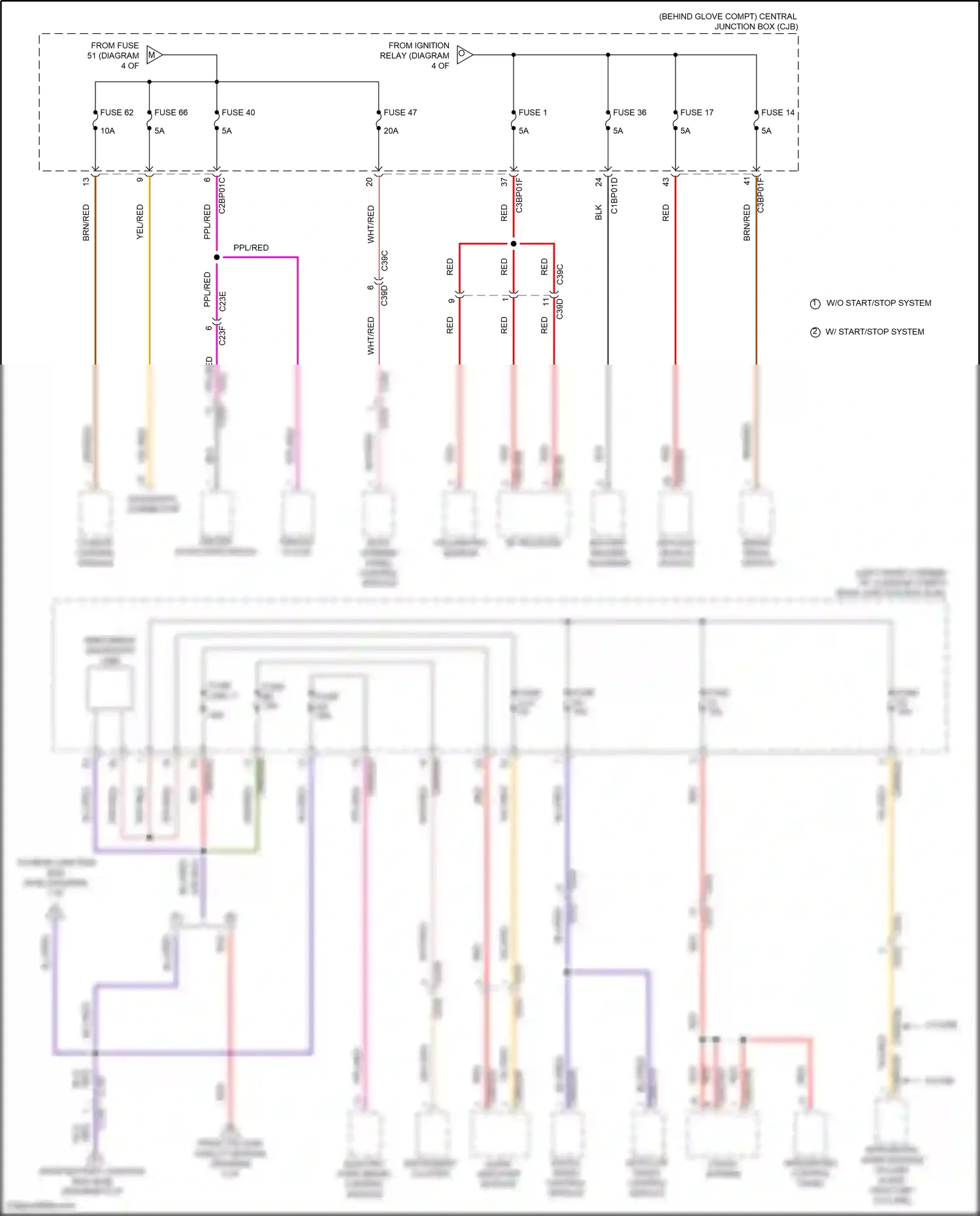 Wiring diagram audio amplifier module for Land Rover Freelander L359 (2012-2014) (4 of 5)