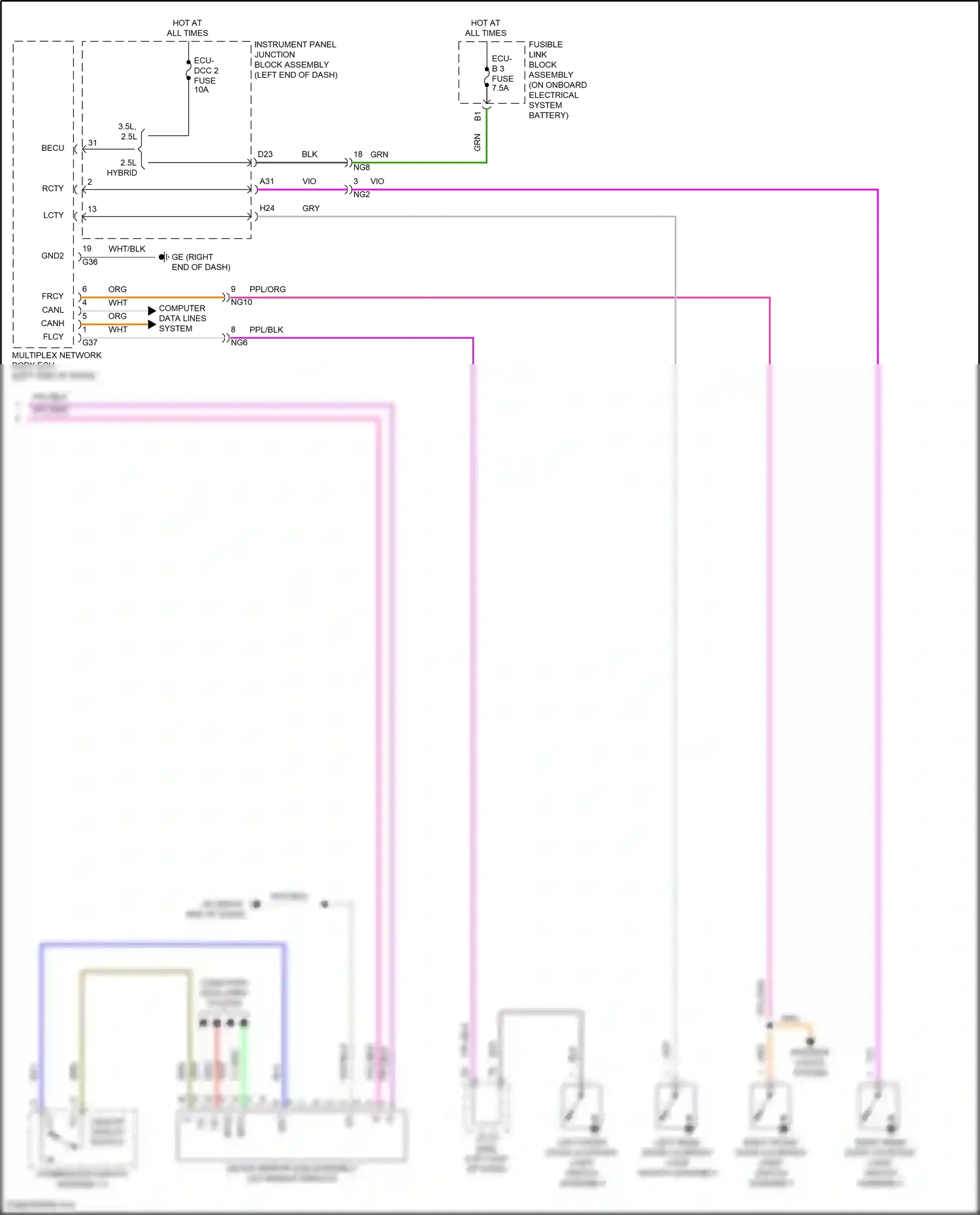 Wiring diagram blu for Lexus ES XV70 facelift (2021-2024) (8 of 159)