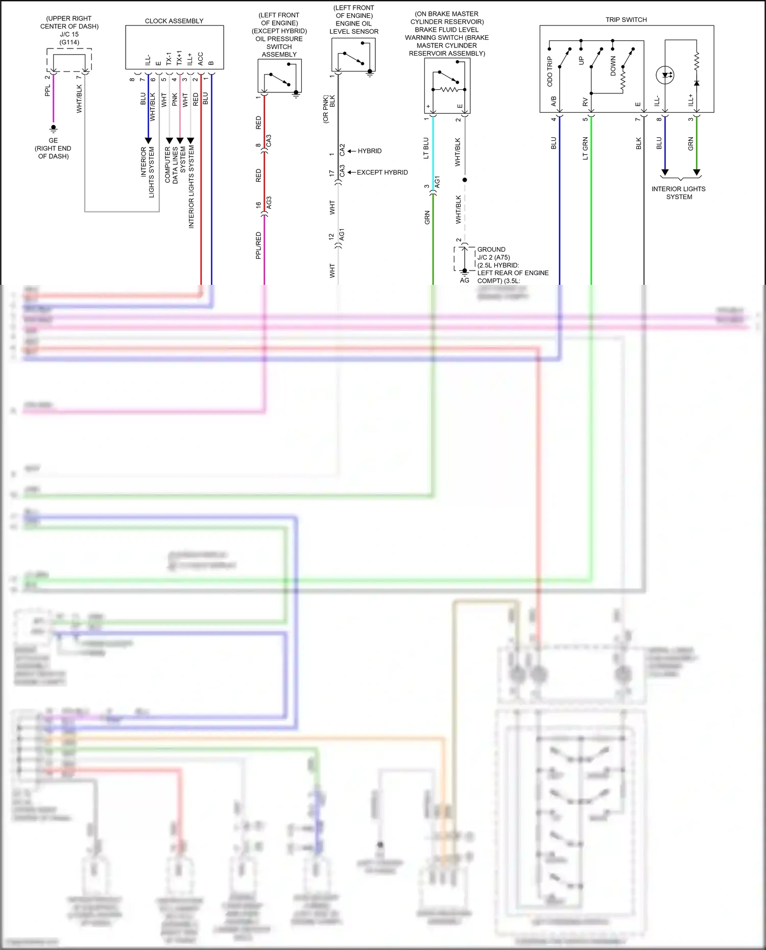 Wiring diagram data lines for Lexus ES XV70 facelift (2021-2024) (1 of 1)