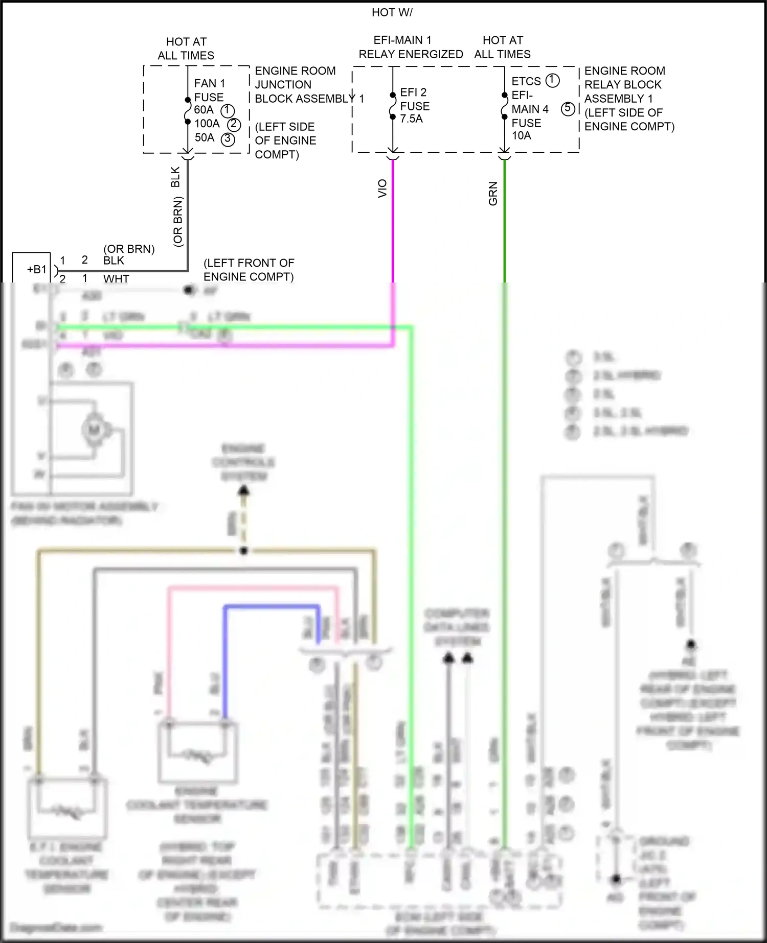 Wiring diagram engine coolant temperature sensor for Lexus ES XV70 facelift (2021-2024) (2 of 4)
