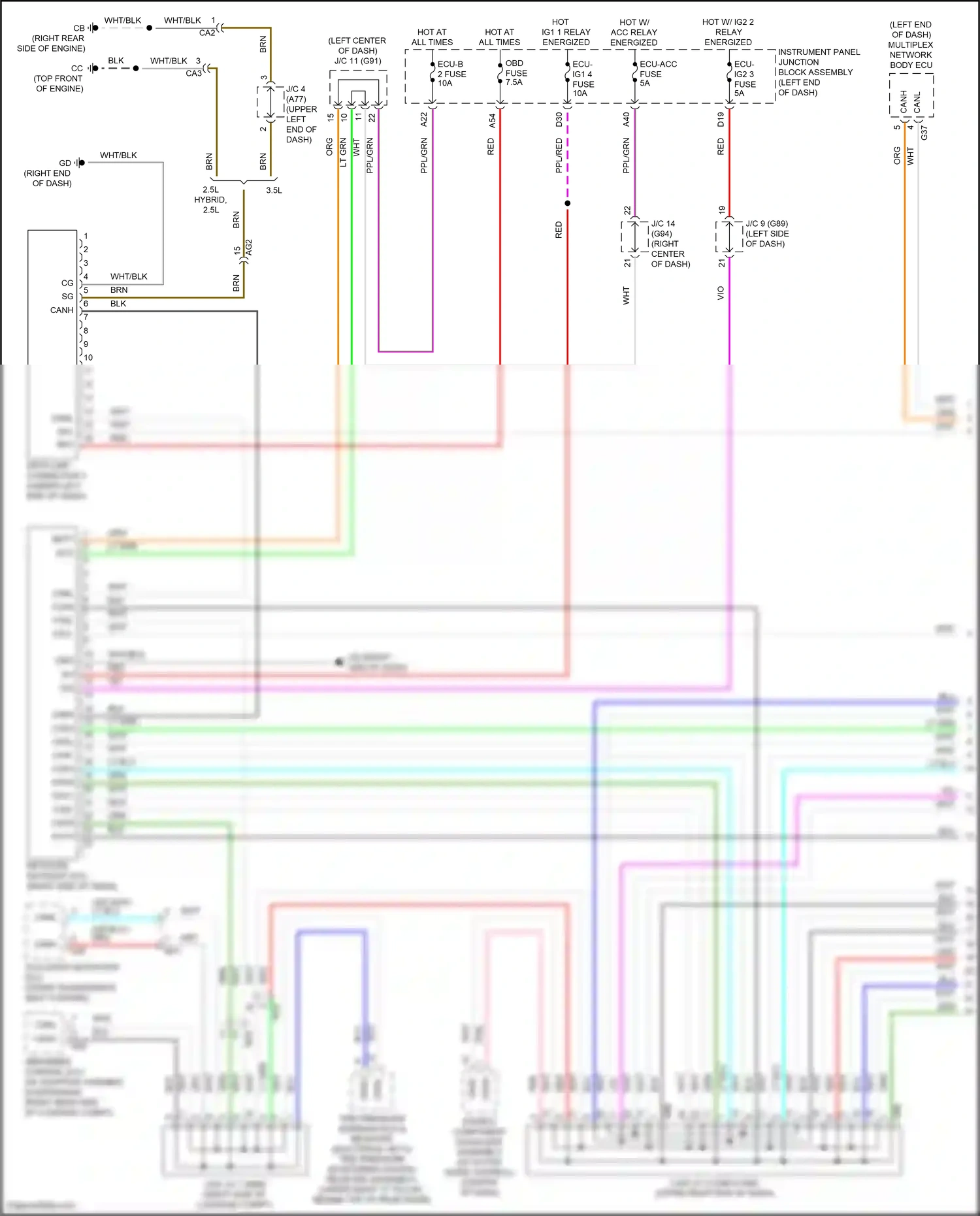 Wiring diagram multiplex network body ecu for Lexus ES XV70 facelift (2021-2024) (11 of 23)