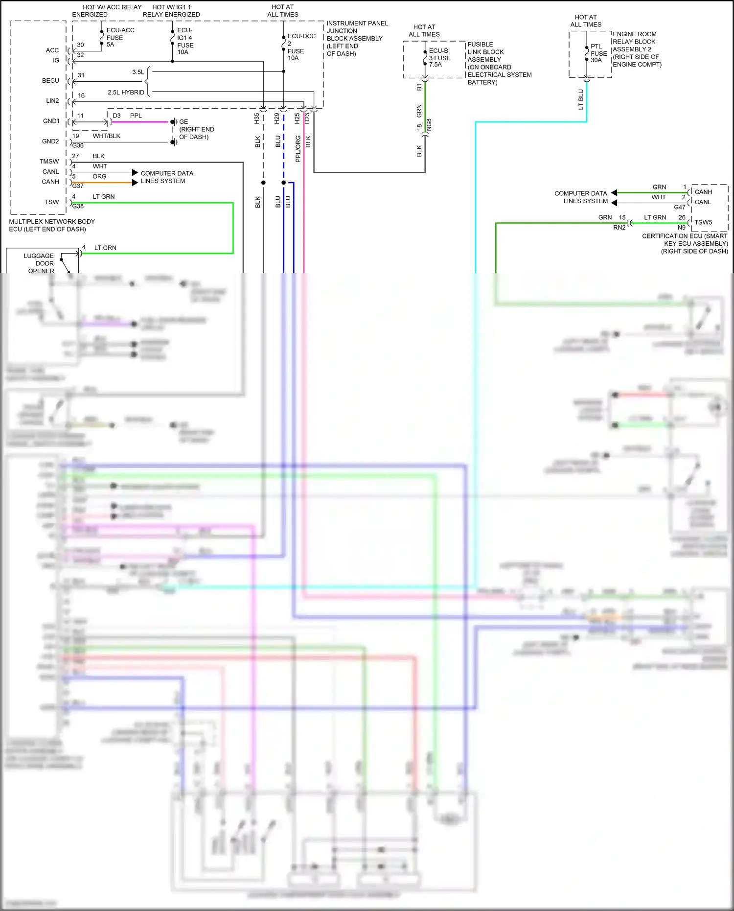 Wiring diagram lcm+ for Lexus ES XV70 (2018-2021) (1 of 1)