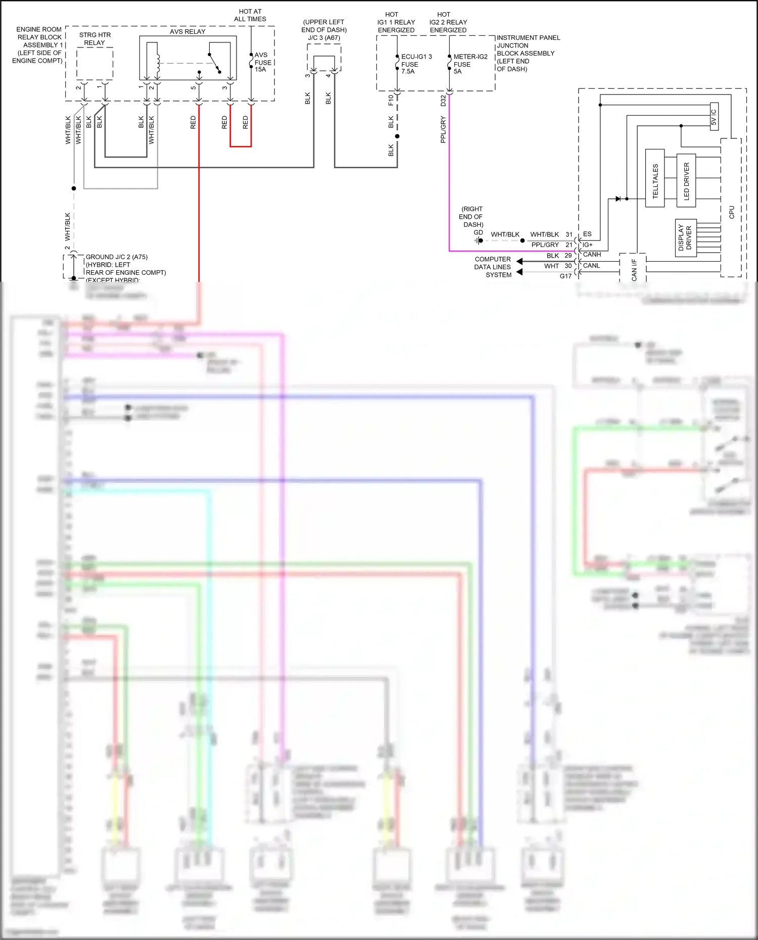 Wiring diagram left front shock absorber assembly for Lexus ES XV70 (2018-2021) (1 of 1)