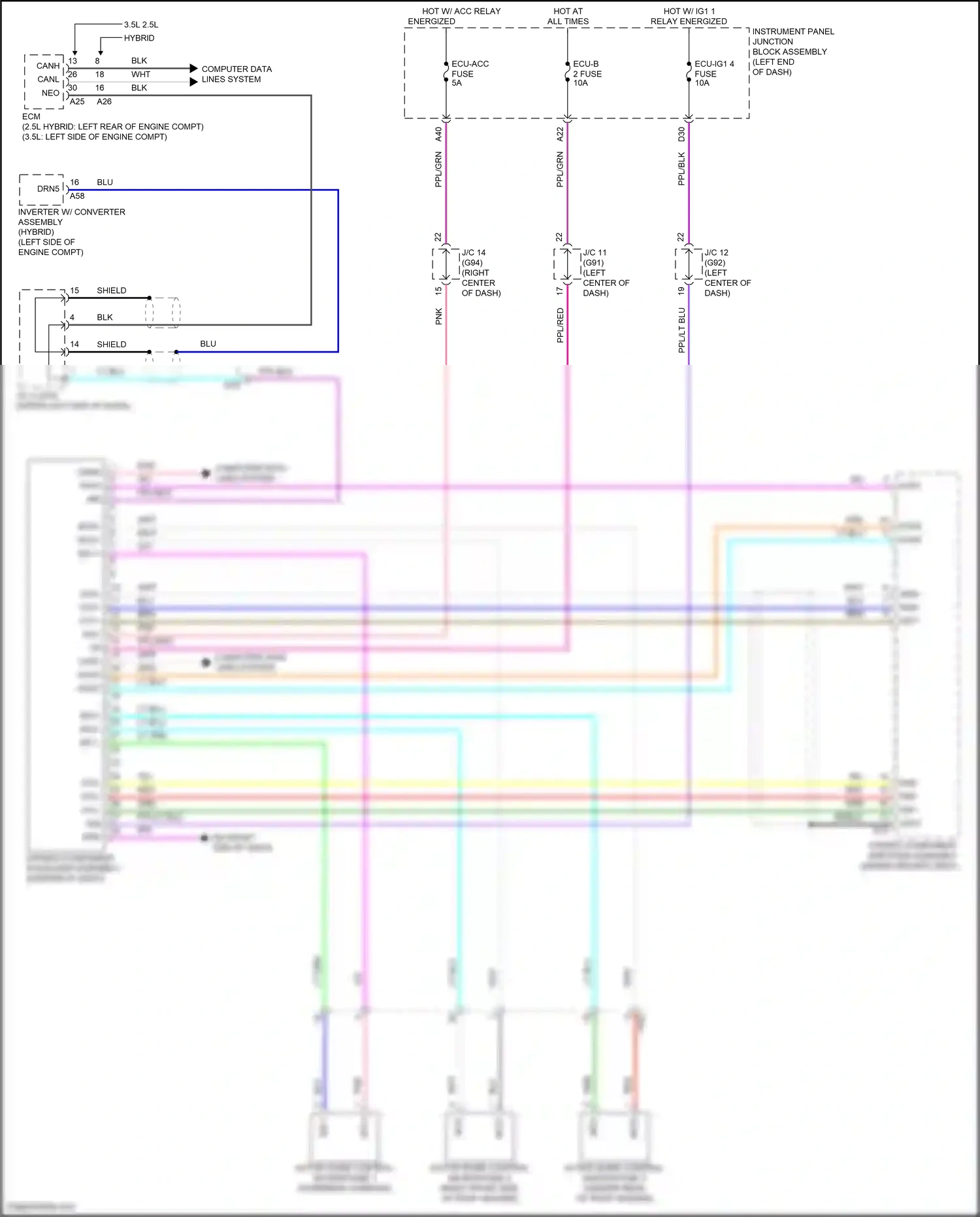 Wiring diagram lt blu for Lexus ES XV70 (2018-2021) (61 of 94)