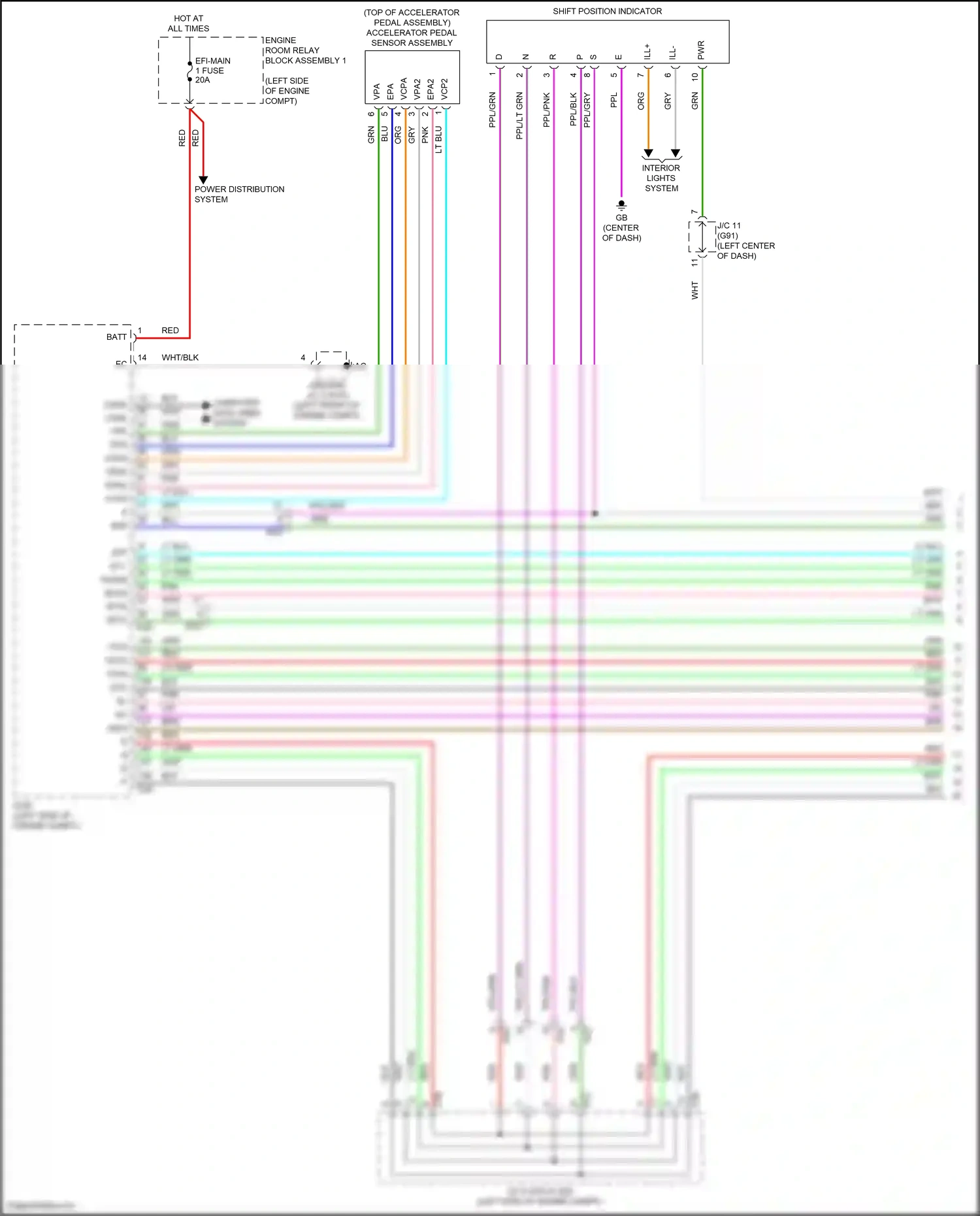 Wiring diagram lt blu for Lexus ES XV70 (2018-2021) (59 of 94)