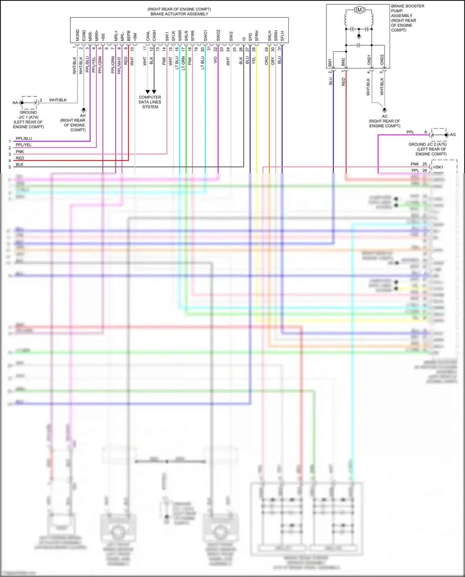 Wiring diagram ppl/blu for Lexus ES XV70 (2018-2021) (12 of 31)