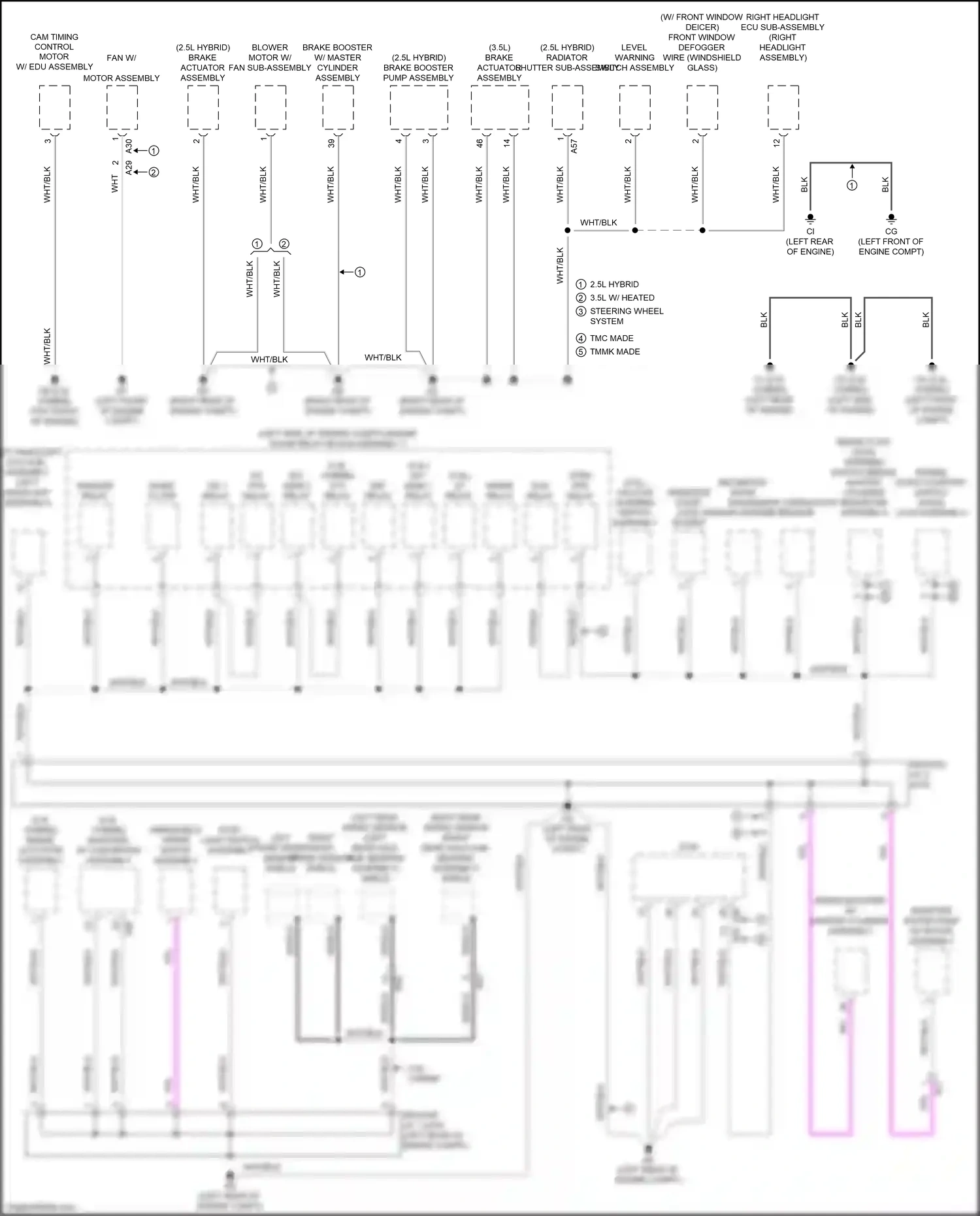 Wiring diagram right front speed sensor shield for Lexus ES XV70 (2018-2021) (1 of 1)
