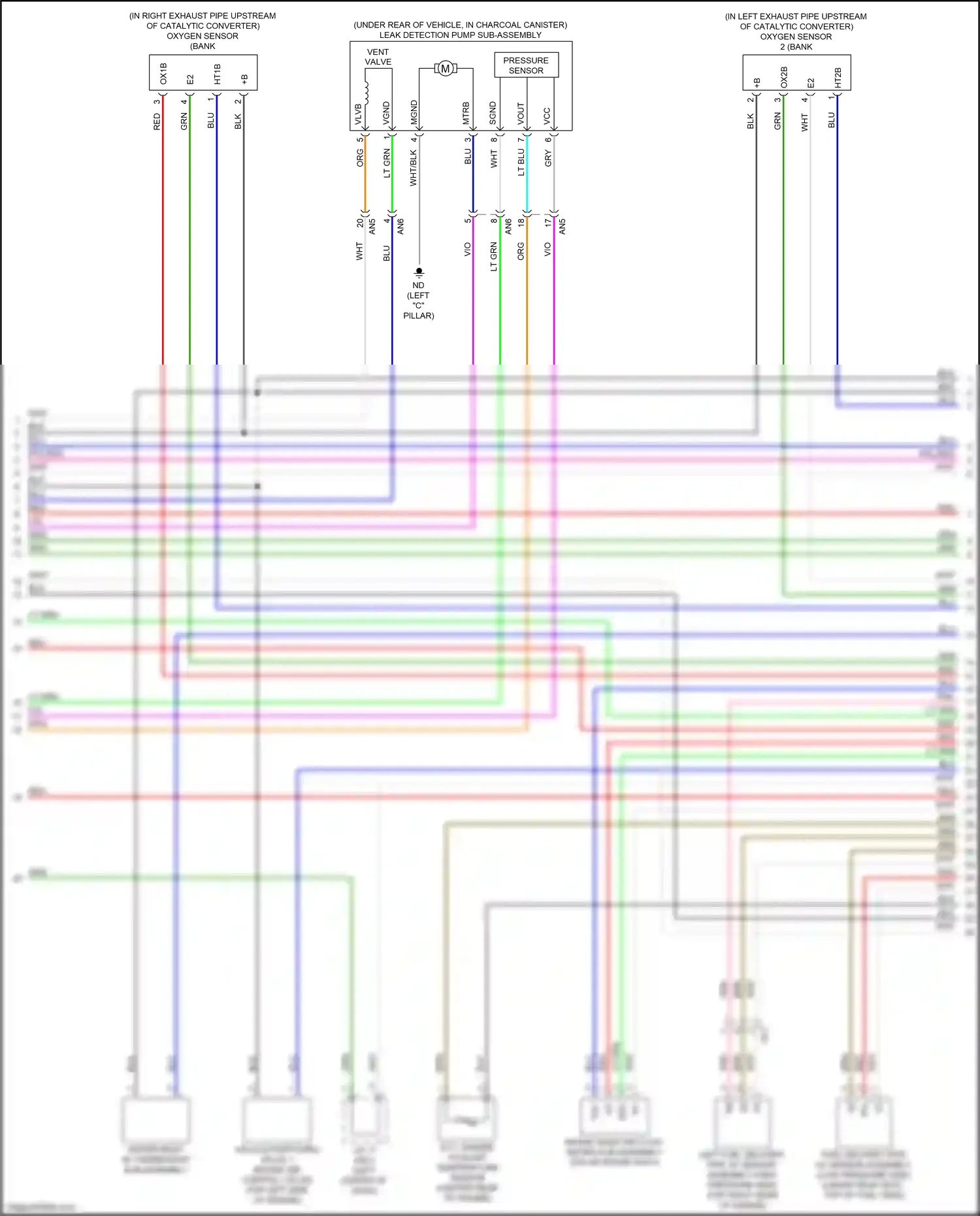 Wiring diagram wht/blk for Lexus ES XV70 (2018-2021) (139 of 144)