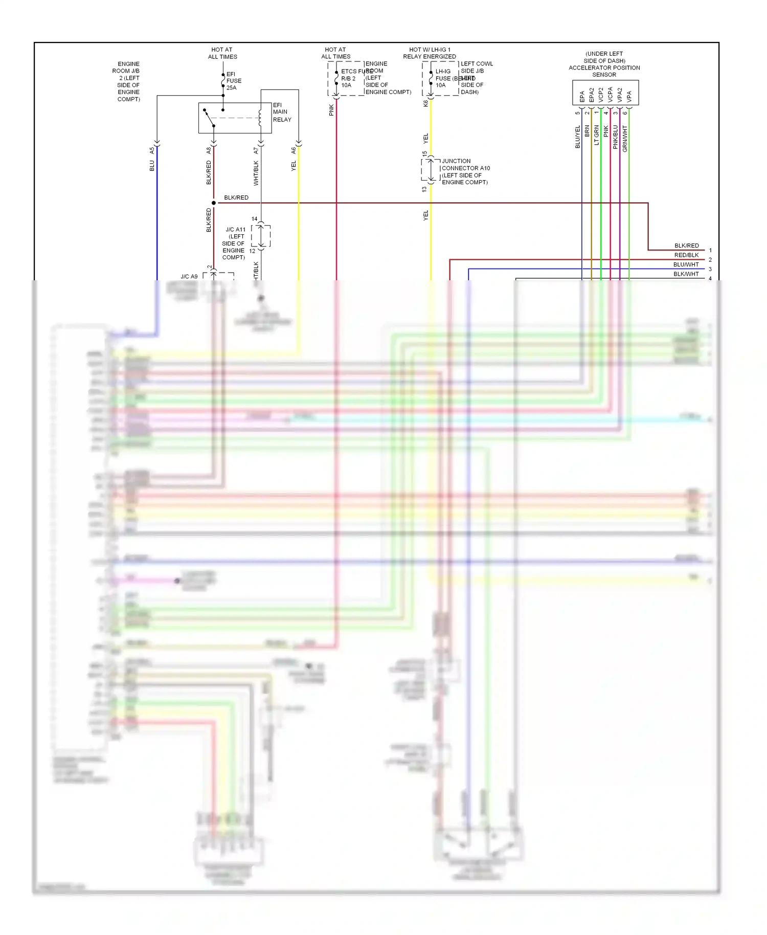 Wiring diagram blu/yel for Lexus GS III facelift (2007-2011) (8 of 32)