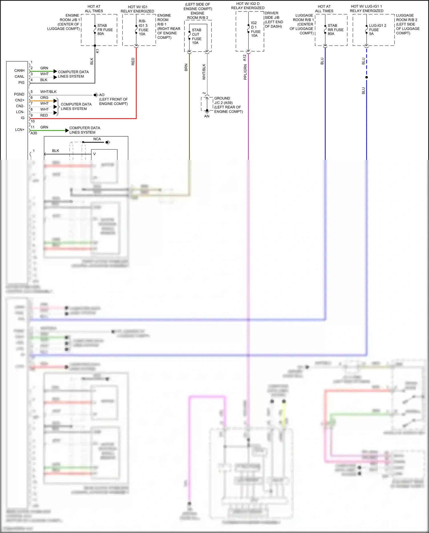 Lexus LS V facelift (2021-2024) computer data lines system wiring diagram  (51 of 132)