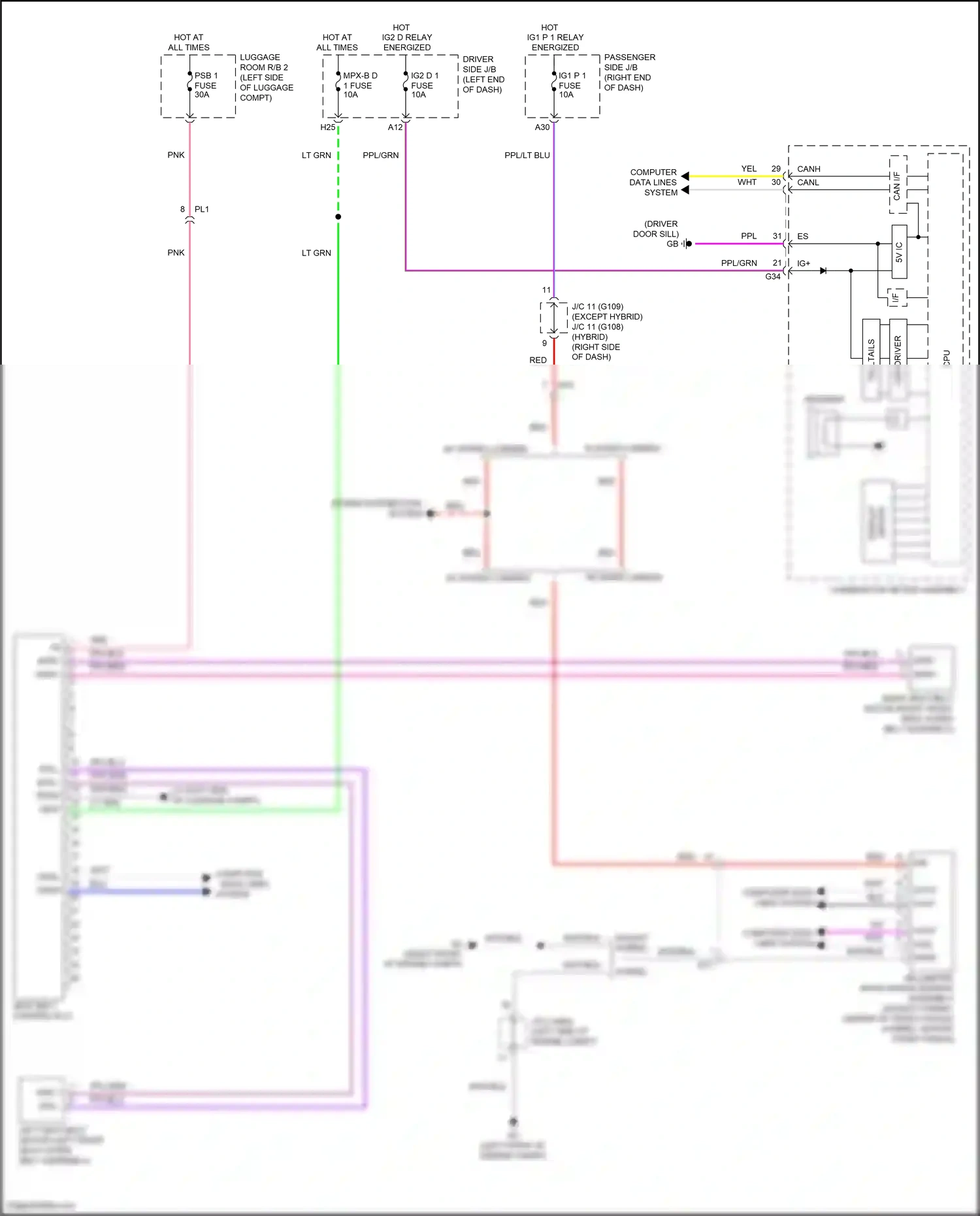 Lexus LS V facelift (2021-2024) computer data lines wiring diagram  (1 of 1)