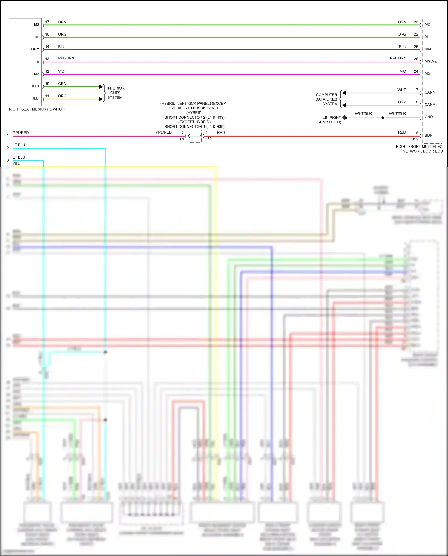 Lexus LS V (2017-2021) computer data lines system wiring diagram  (80 of 131)