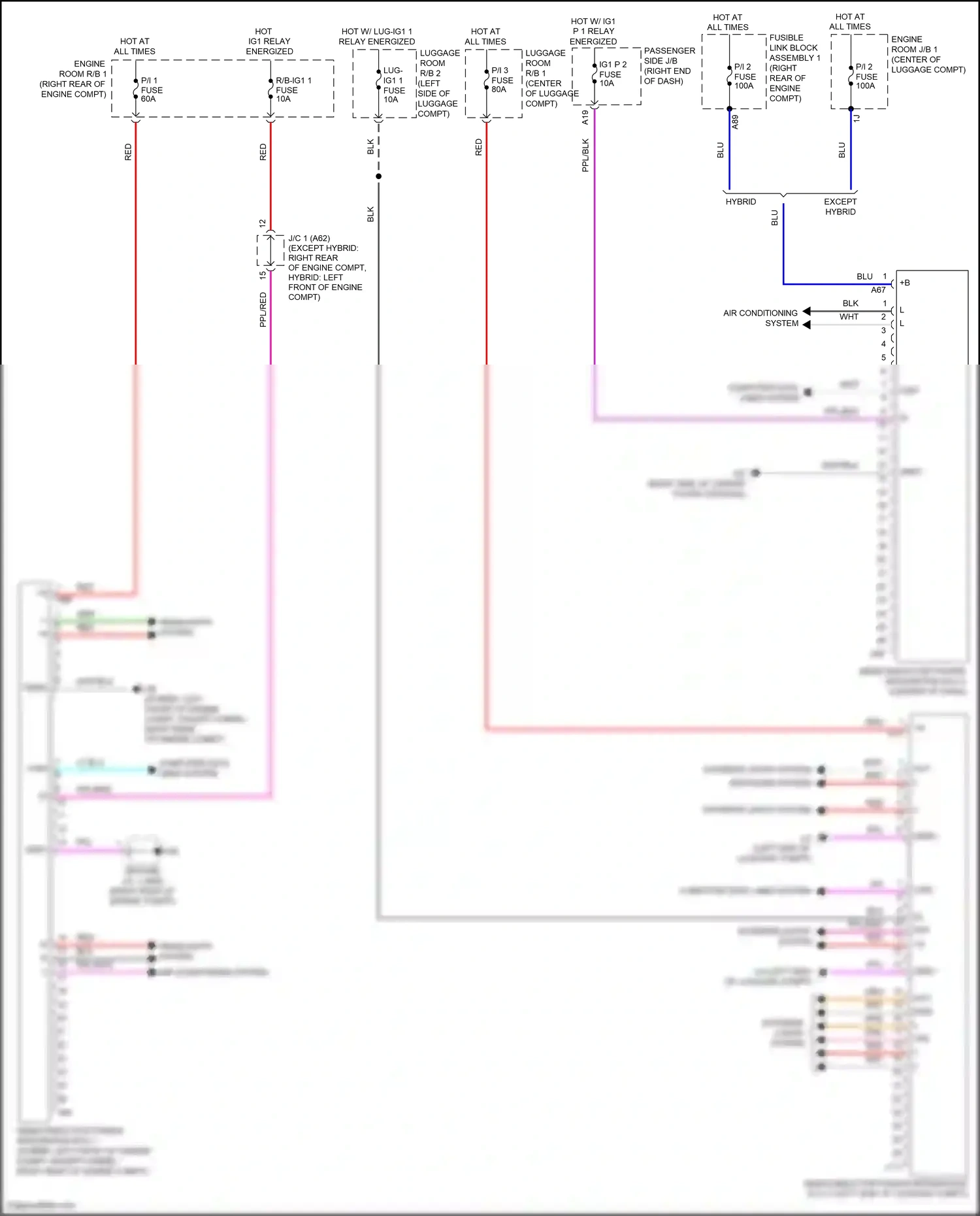 Lexus LS V (2017-2021) computer data lines system wiring diagram  (30 of 131)