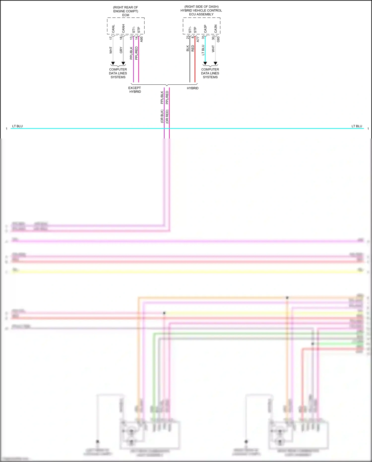 Lexus LS V (2017-2021) computer data lines systems wiring diagram  (1 of 2)