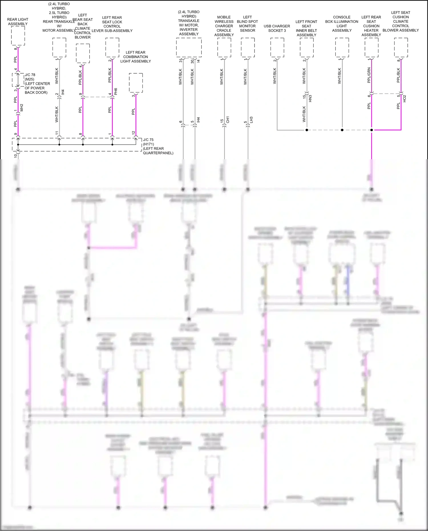 Lexus RX V (2022-2024) left rear combination light assembly wiring diagram  (2 of 3)