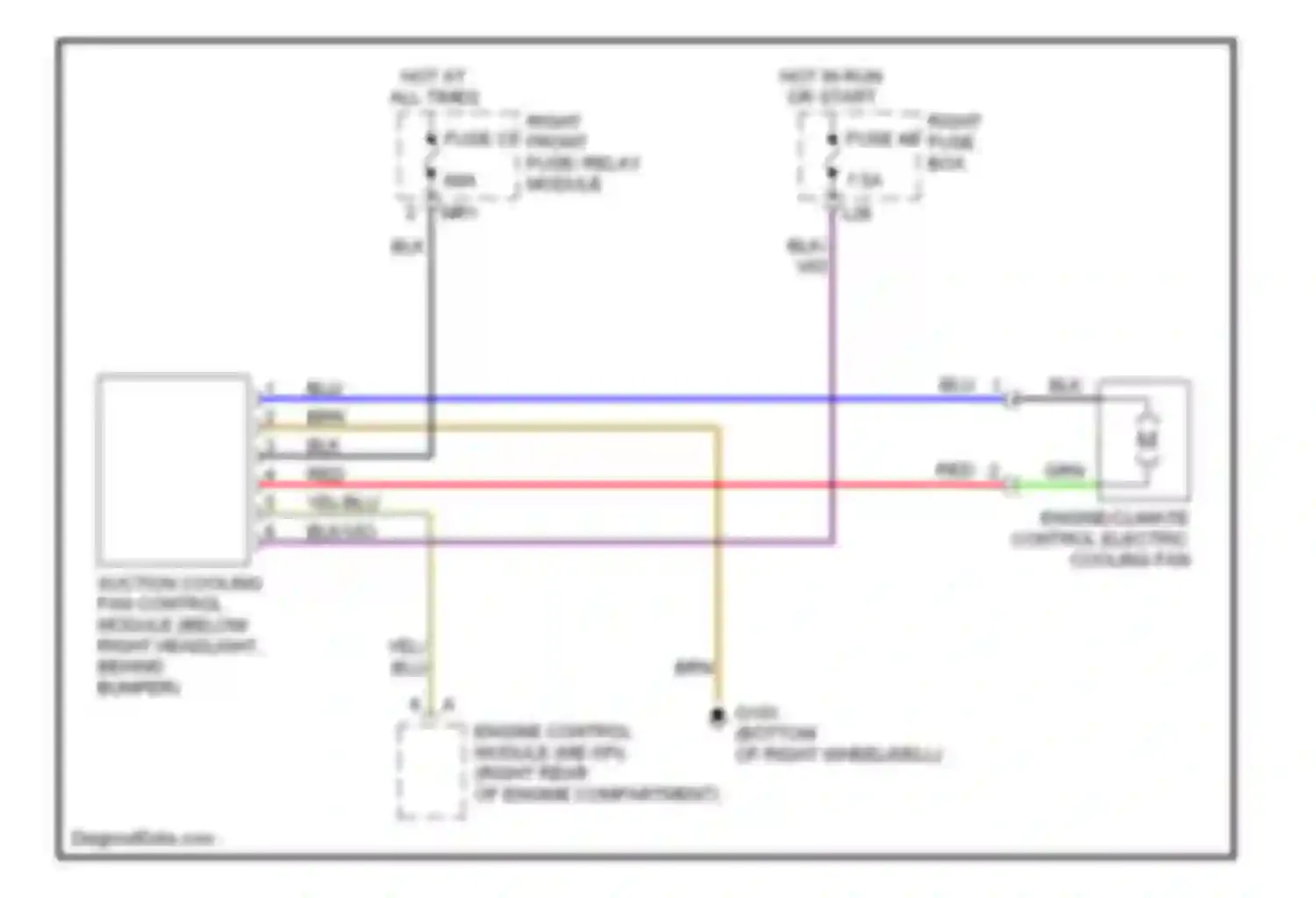 S-class AMG Mercedes-Benz W220 (1999-2002): Cooling fan circuit