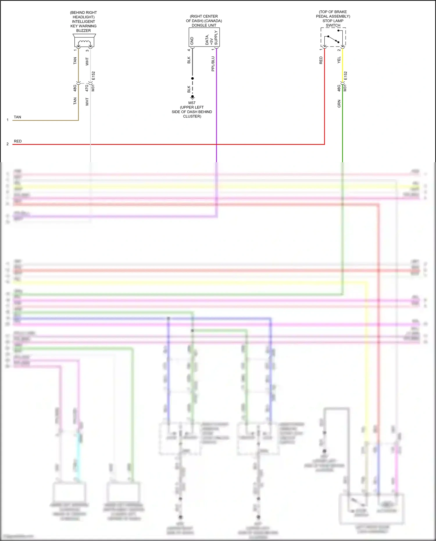 Wiring diagram lt blu for Nissan Frontier D41 (2021-2024) (38 of 85)