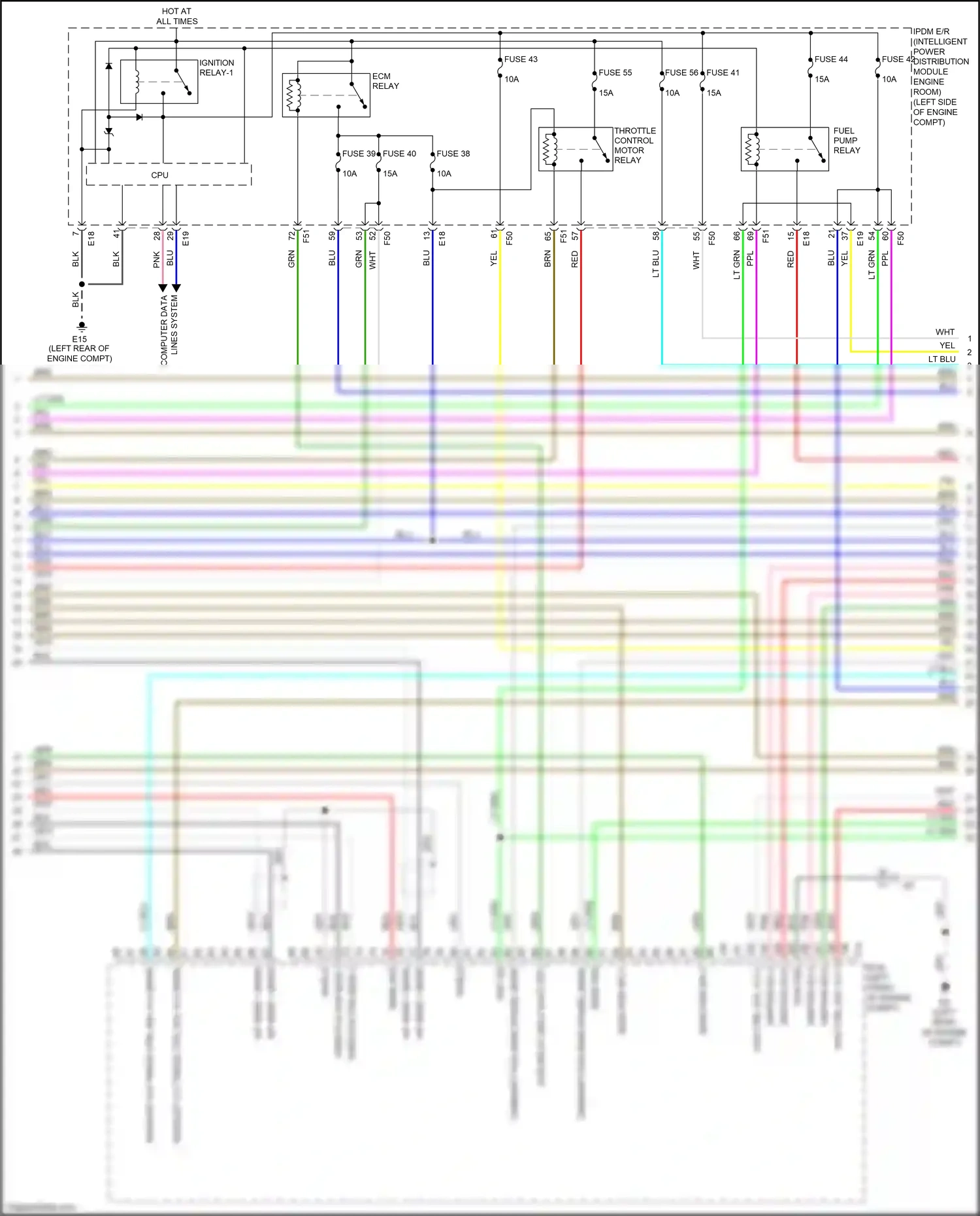 Wiring diagram blu for Nissan Maxima A36 (2015-2024) (88 of 91)