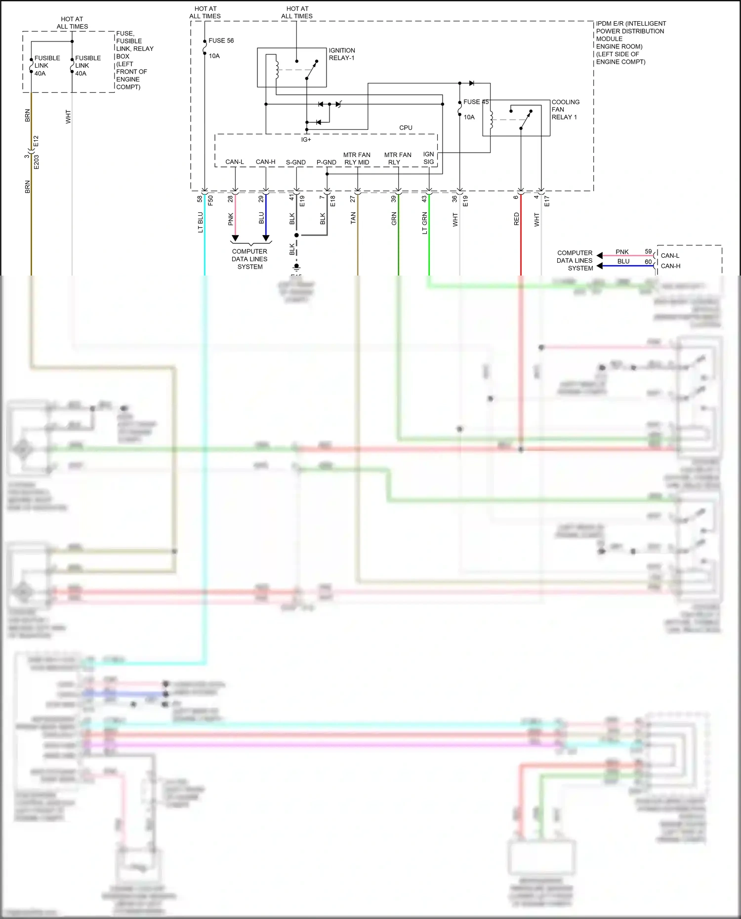 Wiring diagram lt blu for Nissan Maxima A36 (2015-2024) (64 of 78)