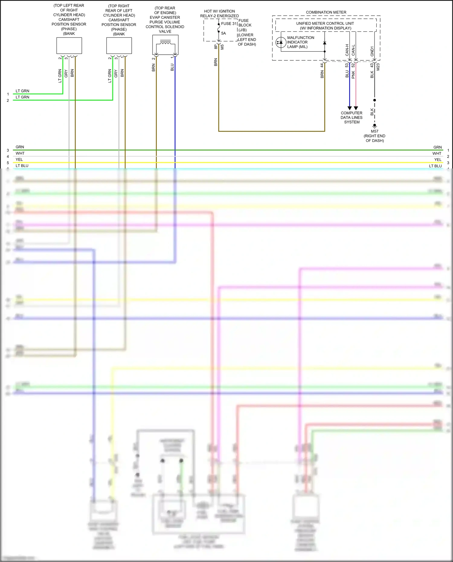 Wiring diagram lt blu for Nissan Maxima A36 (2015-2024) (75 of 78)