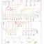 mini-Power distribution circuit (1 of 2)