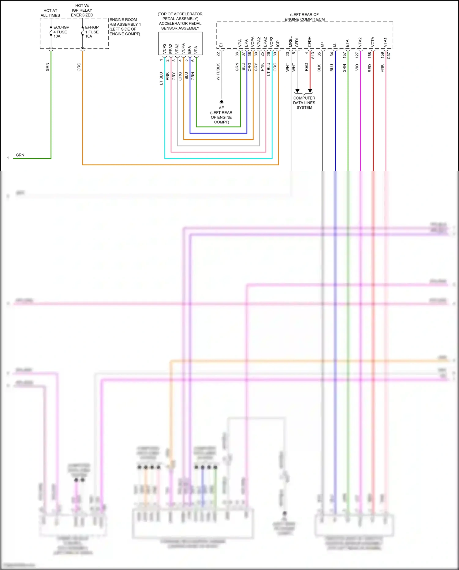 Wiring diagram computer data lines system for Toyota Camry XV80 (2024-2024) (25 of 74)