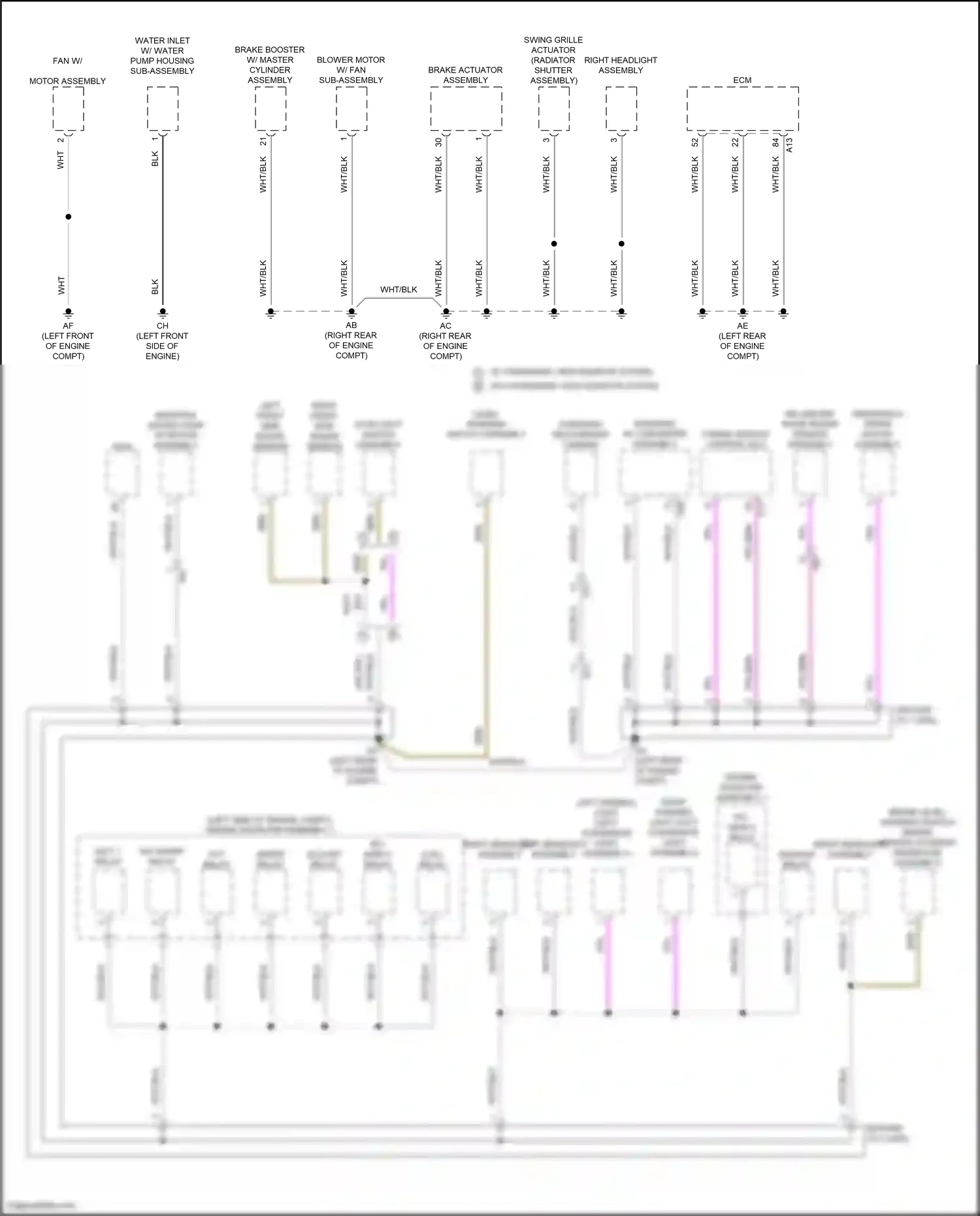 Wiring diagram left front side radar sensor for Toyota Camry XV80 (2024-2024) (3 of 5)