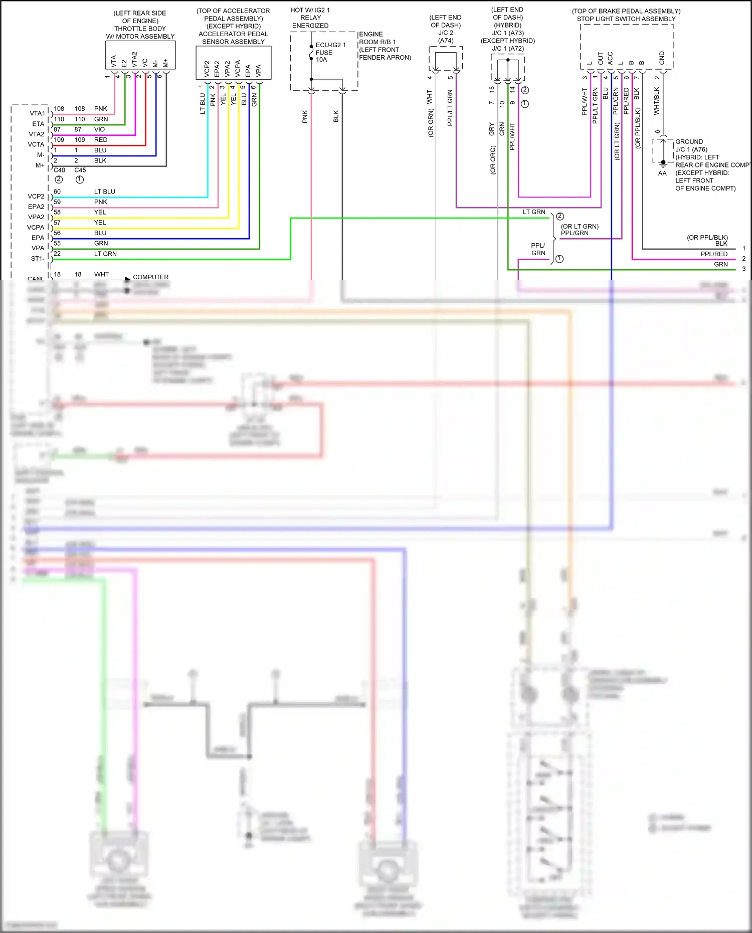 Toyota RAV4 V (2018-2024) computer data lines system wiring diagram  (81 of 121)