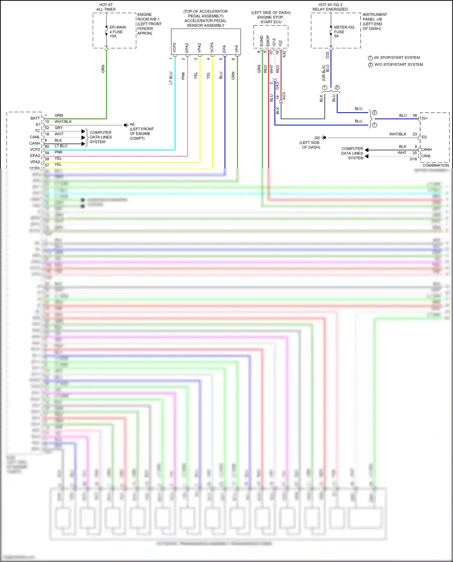 Toyota RAV4 V (2018-2024) computer data lines system wiring diagram  (51 of 121)