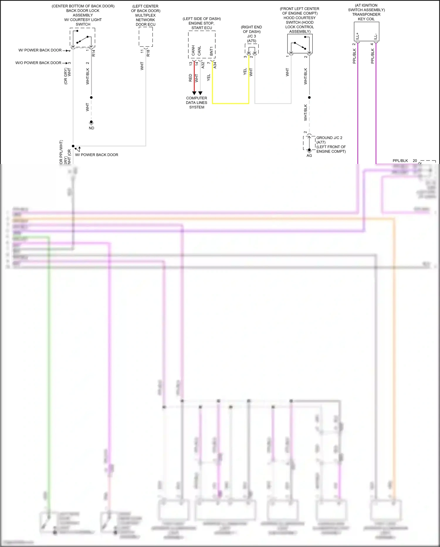 Toyota RAV4 V (2018-2024) computer data lines system wiring diagram  (93 of 121)