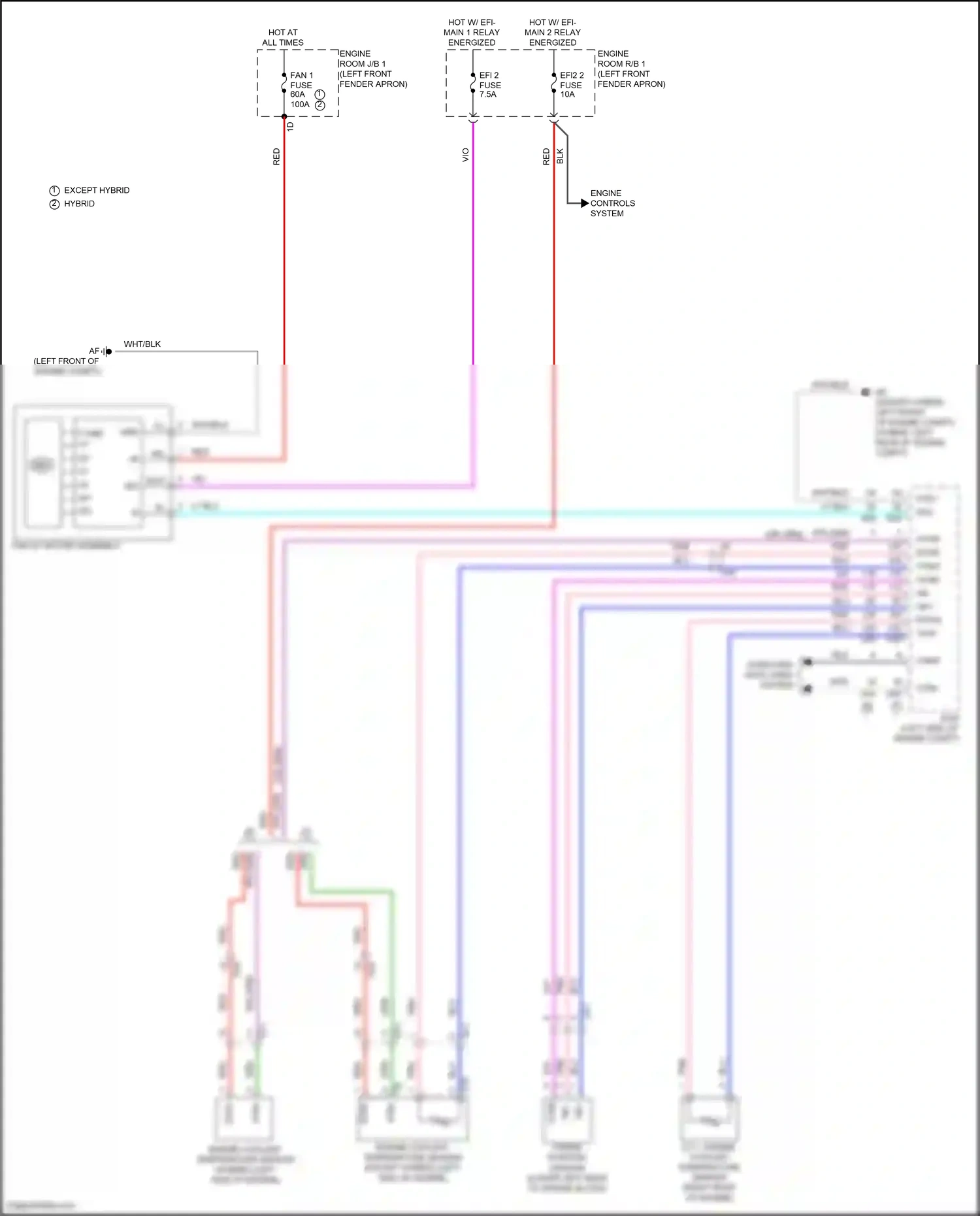 Toyota RAV4 V (2018-2024) computer data lines system wiring diagram  (48 of 121)