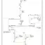 mini-Backup lamps circuit