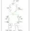 mini-Back-up lamps circuit