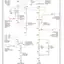mini-Backup lamps circuit